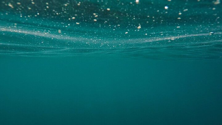 В океане нашли микробов, которые воспроизводят кислород без солнечного света