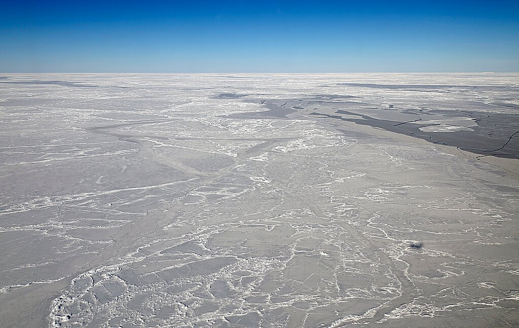Под льдами Антарктики ученые обнаружили крупнейшее в мире место нереста рыб