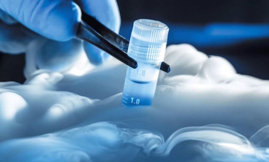 Ученые создали крем против обморожения, который предотвращает гибель клеток