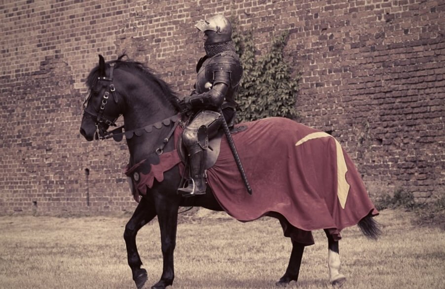 Средневековые лошади были размером с маленьких пони