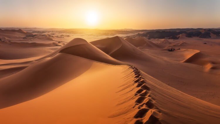 Зачем в пустыню завозят песок и почему он может стать важнее нефти