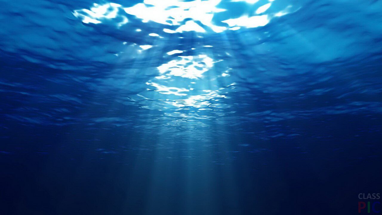 В океане нашли микробов, которые воспроизводят кислород без солнечного света