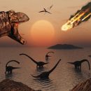 Ученые выяснили в какое время года упал астероид, уничтоживший динозавров