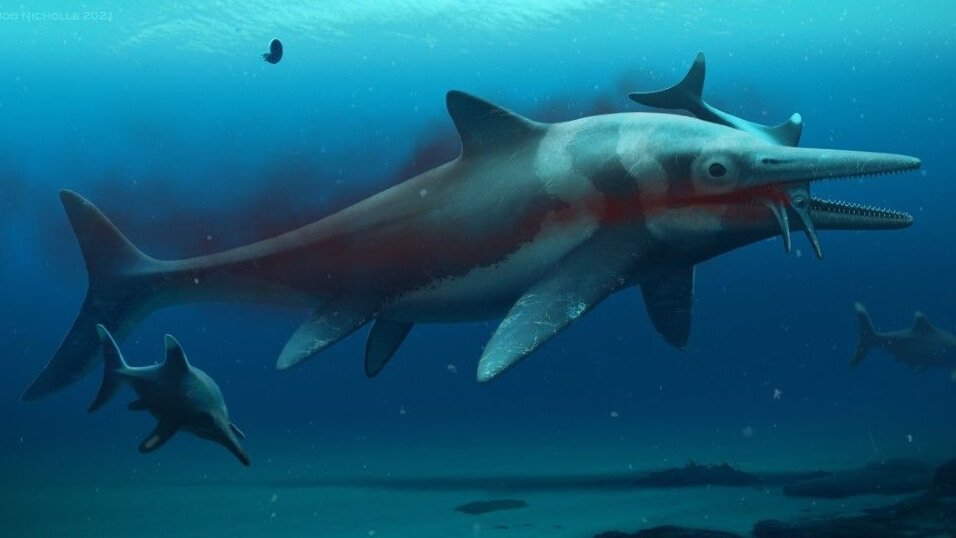 В Англии найден полный скелет «морского дракона» 10-метровой длины